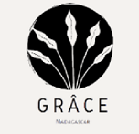 light logo